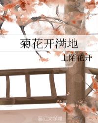菊花开满地章节列表