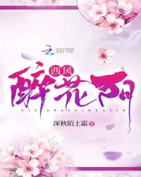 西风醉花阴章节列表