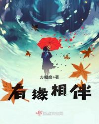 有缘相伴章节列表