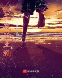 我和我的土狗章节列表