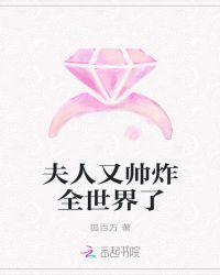 夫人又帅炸全世界了章节列表