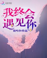 我终会遇见你章节列表