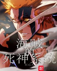 海贼的死神系统章节列表