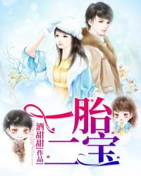 一胎二宝章节列表