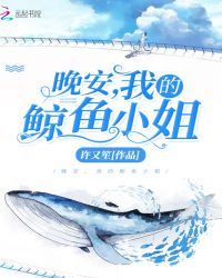 晚安我的鲸鱼小姐章节列表