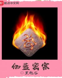 伽蓝密宗章节列表