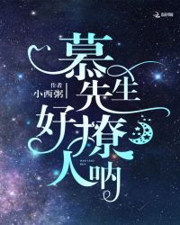 慕先生好撩人呐章节列表