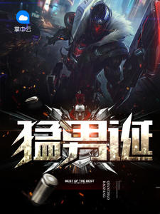 罗军丁涵章节列表