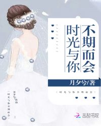 时光与你不期而会章节列表
