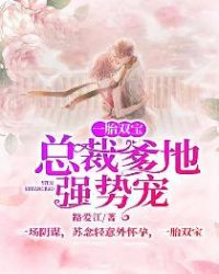 一胎双宝：总裁爹地强势宠章节列表