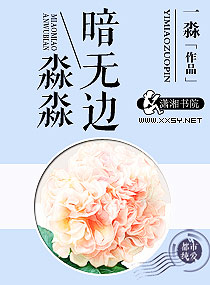 淼淼暗无边章节列表