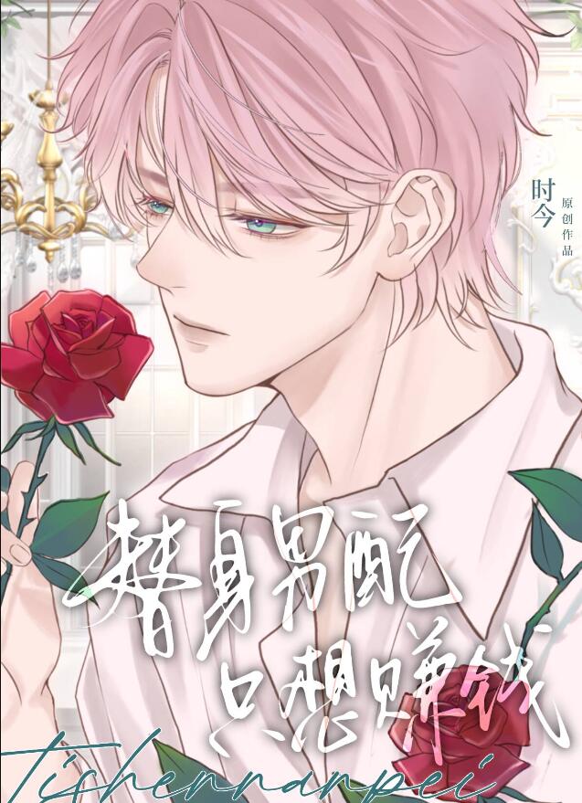 替身男配只想赚钱章节列表