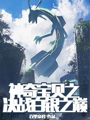 神奇宝贝之决战白银之巅章节列表