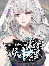 双生神级武魂，震惊妖帝老婆！章节列表