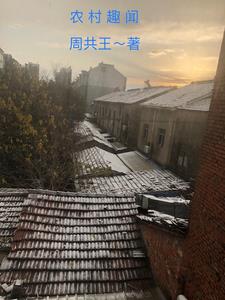 农村趣闻章节列表