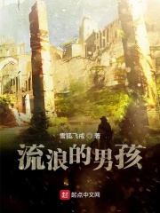 流浪的男孩章节列表