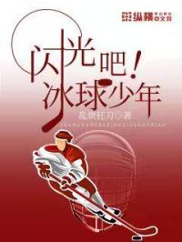 闪光吧，冰球少年章节列表