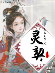 凤临天下之灵契章节列表