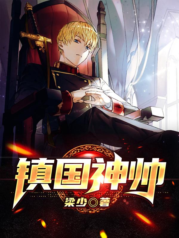 镇国神帅章节列表