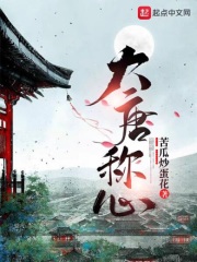 大唐称心章节列表