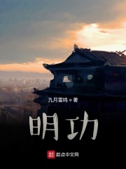 明功章节列表