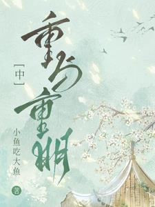 星落凝成糖之重与重明章节列表