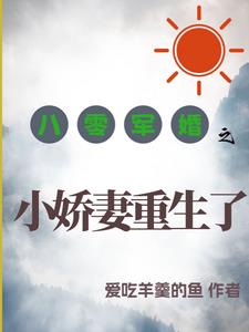 八零军婚之小娇妻重生了章节列表