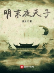 明末夜天子章节列表