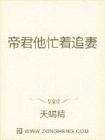 帝君他忙着追妻章节列表