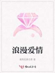 浪漫爱情章节列表