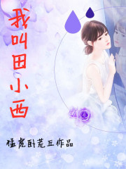 我叫田小西章节列表