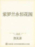 紫罗兰永恒花园章节列表