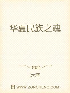 华夏民族之魂章节列表