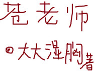 与苍老师同居的日子章节列表