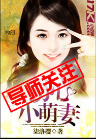 窃心小萌妻章节列表