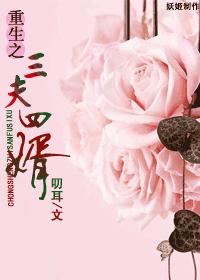 现代之三夫四婿章节列表