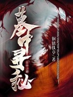 墓中寻秘章节列表