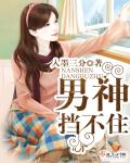 男神挡不住章节列表