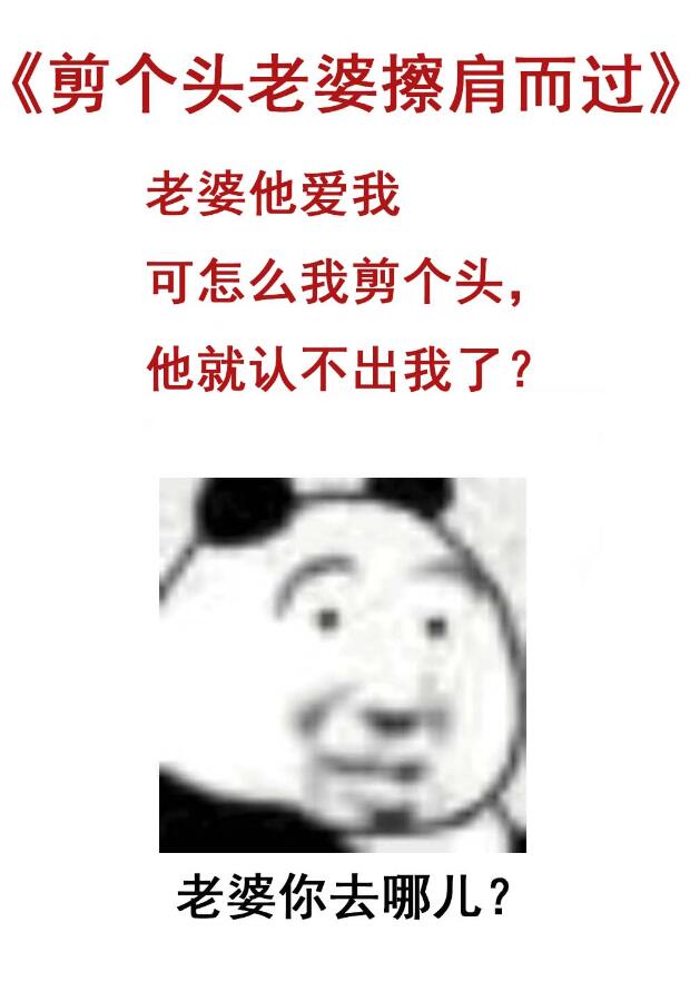 剪个头老婆擦肩而过章节列表