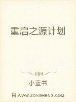 重启之源计划章节列表