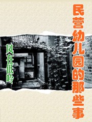 民营幼儿园的那些事章节列表