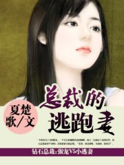 总裁的逃跑妻章节列表