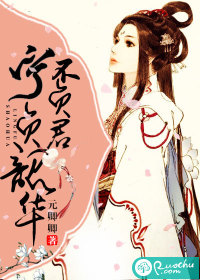 宁负韶华不负君章节列表