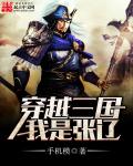穿越三国我是张辽章节列表