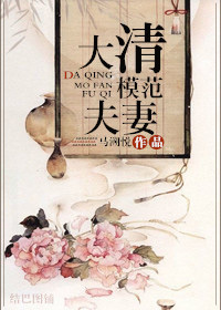 大清模范夫妻章节列表