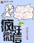 疯狂微信章节列表