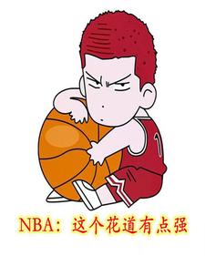 NBA：这个花道有点强章节列表