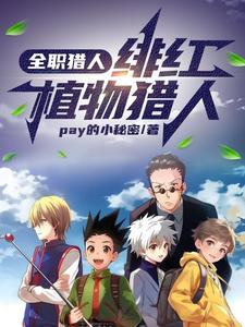 全职猎人：火红眼的毒舌少年章节列表