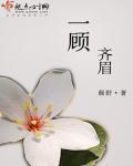 一顾齐眉章节列表