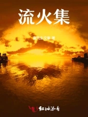 流火集章节列表